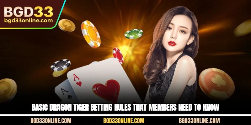 Basic Dragon Tiger betting rules that members need to know