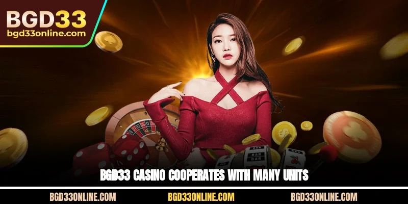 BGD33 Casino cooperates with many units