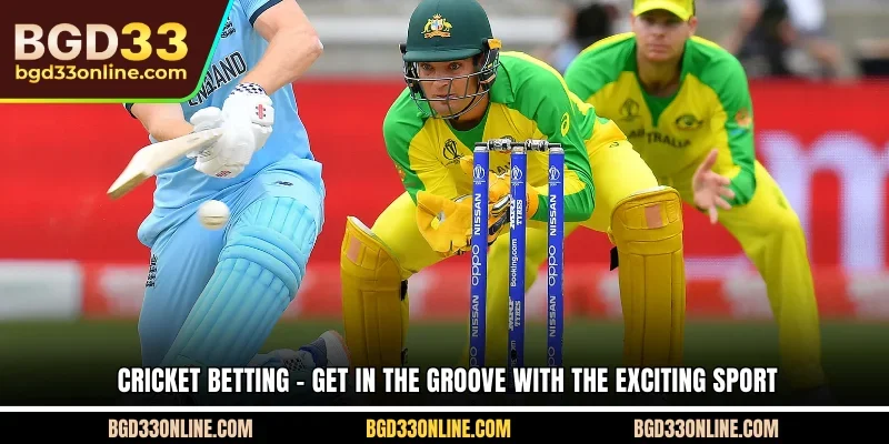 Cricket Betting – Get in the groove with the exciting sport