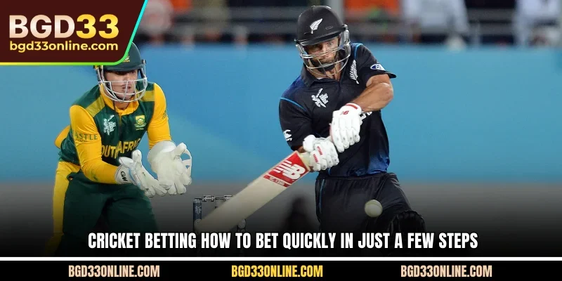 Cricket Betting How to Bet Quickly in Just a Few Steps