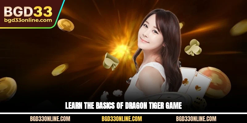 Learn the basics of Dragon Tiger game