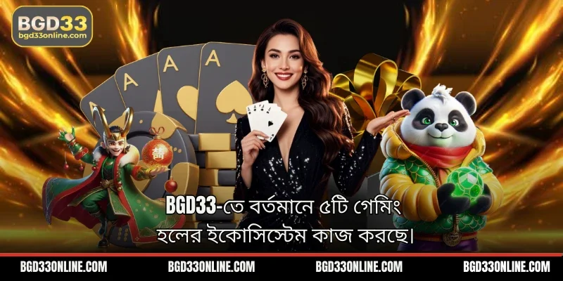 BGD33-তে বর্তমানে ৫টি গেমিং হলের ইকোসিস্টেম কাজ করছে।
