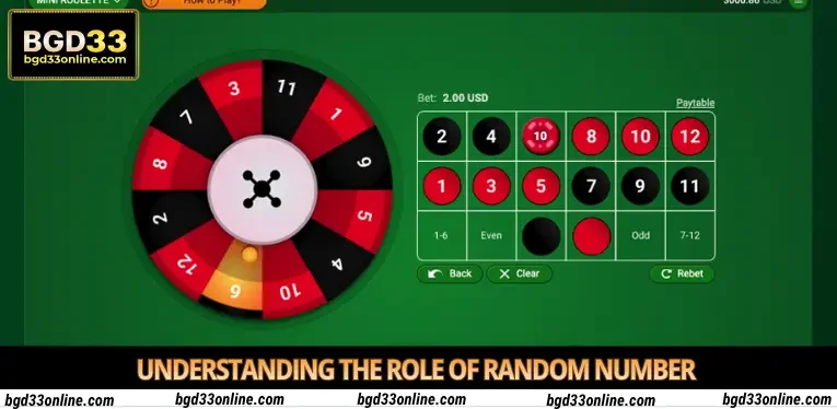 understanding-the-role-of-random-number